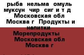 рыба (нельма, омуль, муксун, чир, сиг и т.д.) - Московская обл., Москва г. Продукты и напитки » Морепродукты   . Московская обл.,Москва г.